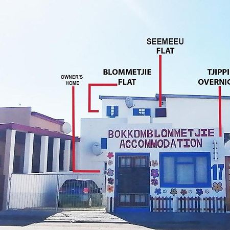 Bokkomblommetjie Lambertʼs Bay المظهر الخارجي الصورة