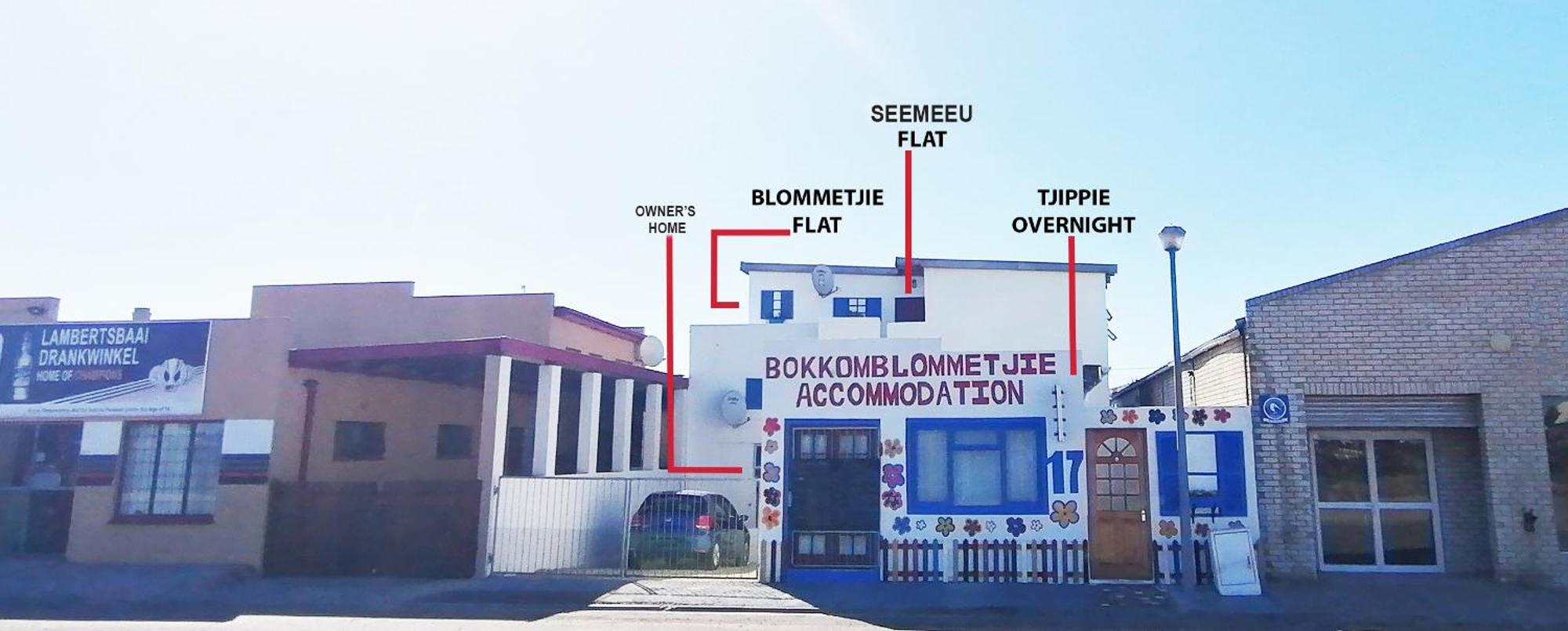 Bokkomblommetjie Lambertʼs Bay المظهر الخارجي الصورة